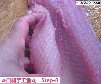 自制手工鱼丸做法第八步骤