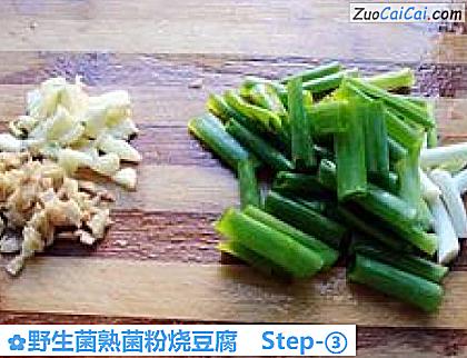 野生菌熟菌粉烧豆腐做法第三步骤