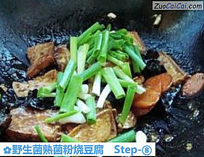 野生菌熟菌粉烧豆腐做法第八步骤