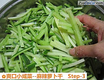 麻辣萝卜干做法第三步骤