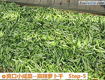 麻辣萝卜干做法第五步骤