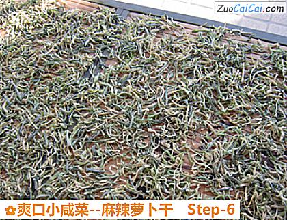 麻辣萝卜干做法第六步骤