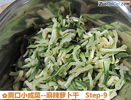 麻辣萝卜干做法第九步骤