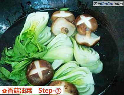 香菇油菜做法第三步骤