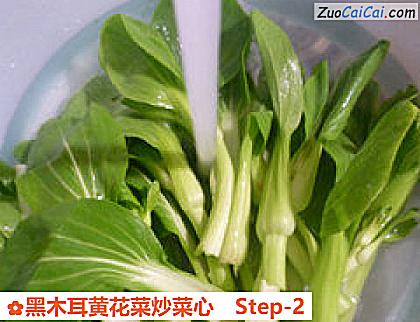 黑木耳黄花菜炒菜心做法第二步骤