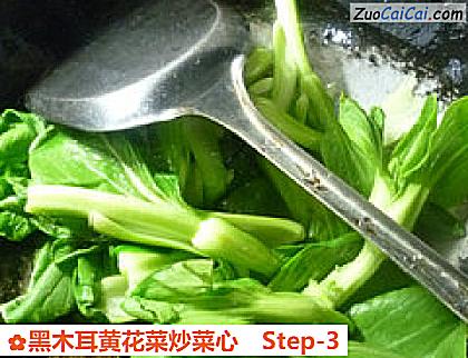黑木耳黄花菜炒菜心做法第三步骤