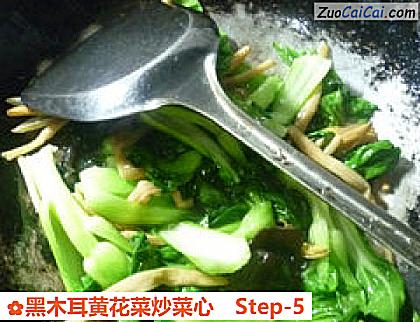 黑木耳黄花菜炒菜心做法第五步骤