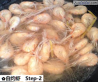 白灼虾做法第二步骤