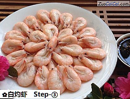 白灼虾做法第三步骤