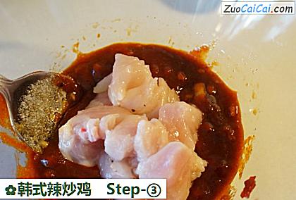 韩式辣炒鸡做法第三步骤