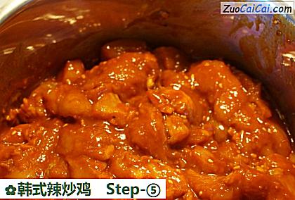 韩式辣炒鸡做法第五步骤