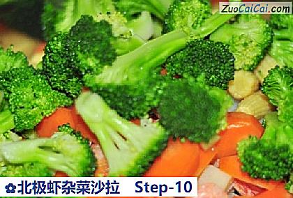 北极虾杂菜沙拉做法第十步骤