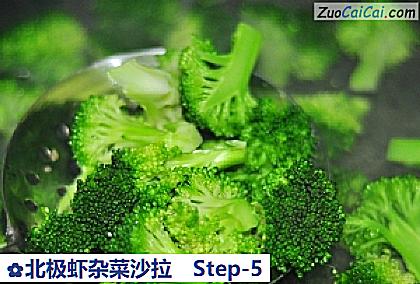 北极虾杂菜沙拉做法第五步骤