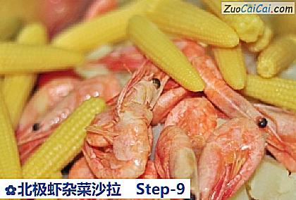 北极虾杂菜沙拉做法第九步骤