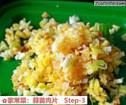 家常菜：蒜苗肉片做法第三步骤