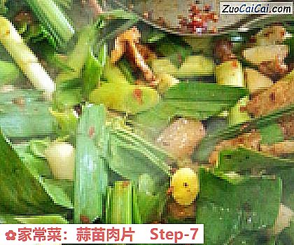 家常菜：蒜苗肉片做法第七步骤