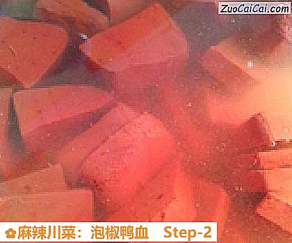 麻辣川菜:泡椒鸭血做法第二步骤