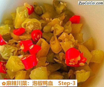 麻辣川菜:泡椒鸭血做法第三步骤