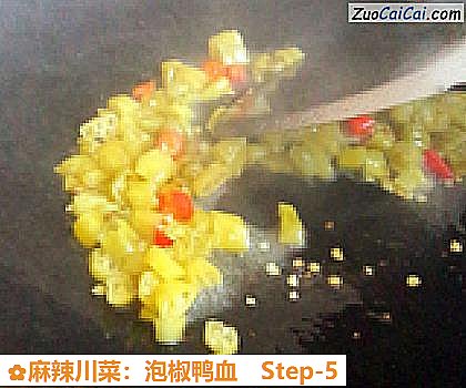 麻辣川菜:泡椒鸭血做法第五步骤