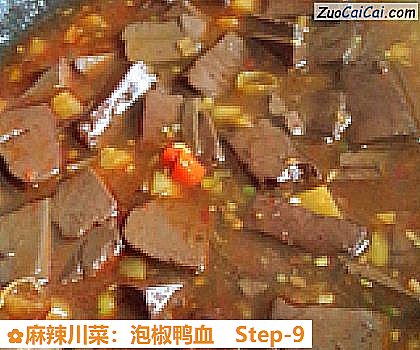 麻辣川菜:泡椒鸭血做法第九步骤