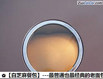 白芝麻餐包做法第十一步骤