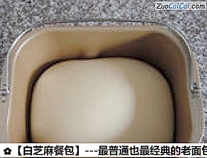 白芝麻餐包做法第十二步骤