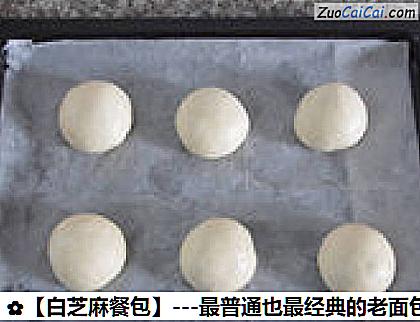 白芝麻餐包做法第十四步骤