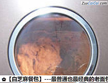 白芝麻餐包做法第四步骤