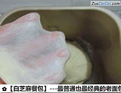 白芝麻餐包做法第七步骤