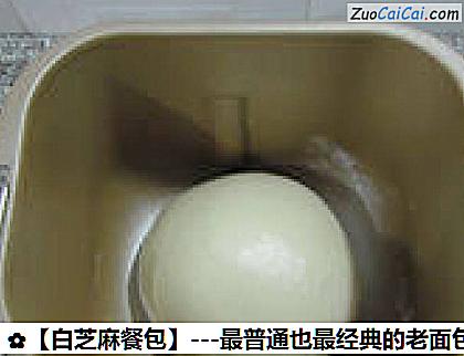 白芝麻餐包做法第八步骤