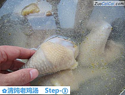 清炖老鸡汤做法第三步骤