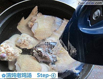 清炖老鸡汤做法第四步骤