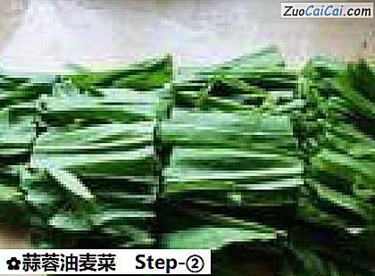 蒜蓉油麦菜做法第二步骤