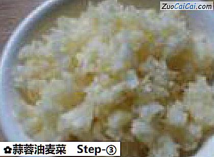 蒜蓉油麦菜做法第三步骤