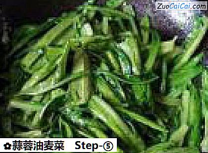 蒜蓉油麦菜做法第五步骤
