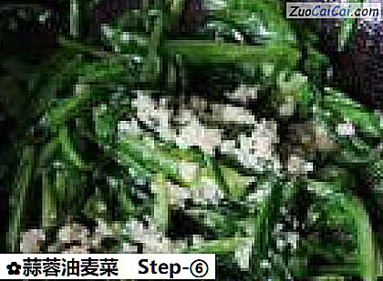 蒜蓉油麦菜成品图1