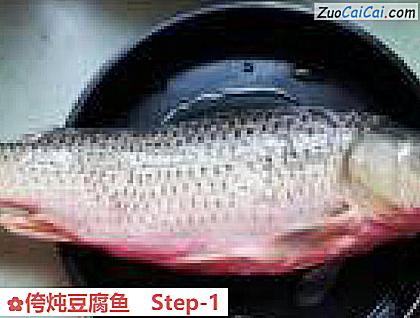 侉炖豆腐鱼做法第一步骤