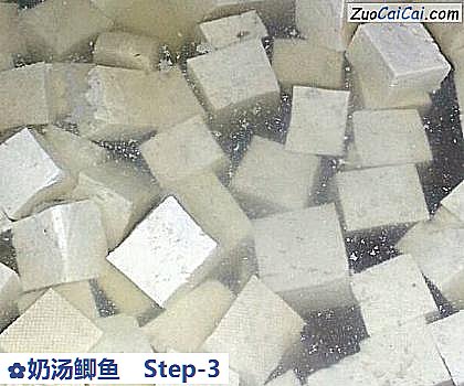 奶汤鲫鱼做法第三步骤