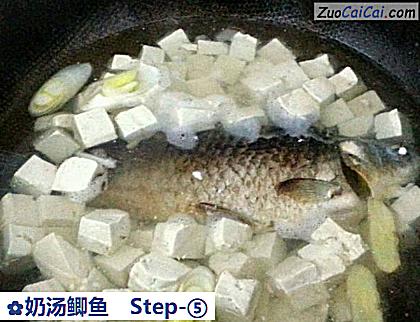奶汤鲫鱼做法第五步骤