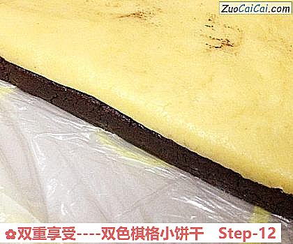 双重享受-双色棋格小饼干做法第十二步骤