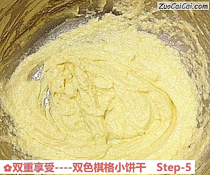 双重享受-双色棋格小饼干做法第五步骤