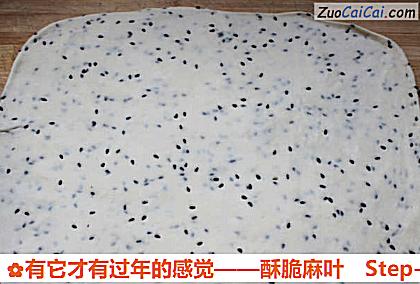 有它才有过年的感觉——酥脆麻叶做法第四步骤