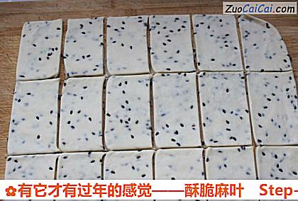 有它才有过年的感觉——酥脆麻叶做法第五步骤