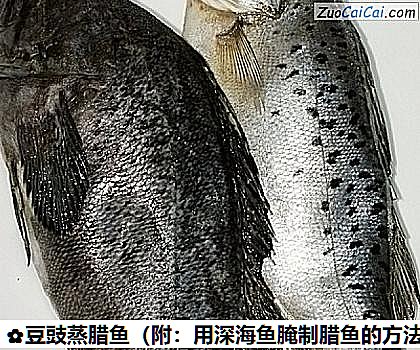 豆豉蒸腊鱼做法第一步骤