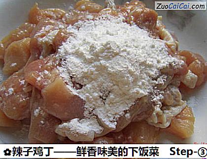 辣子鸡丁做法第三步骤