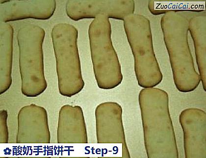 酸奶手指饼干做法第九步骤