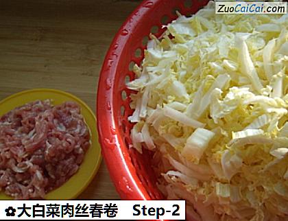 大白菜肉丝春卷做法第二步骤