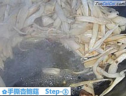 手撕杏鲍菇做法第三步骤