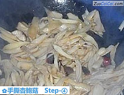 手撕杏鲍菇做法第四步骤