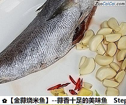 金蒜烧米鱼做法第一步骤